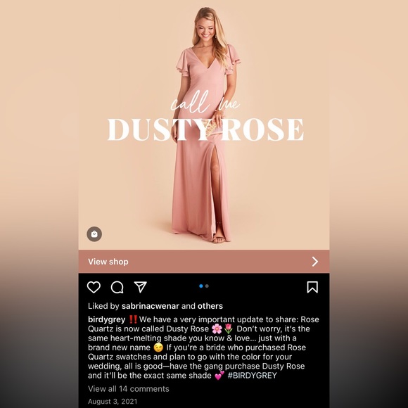 Birdy Grey JULES DRESS CHIFFON ROSE QUARTZ Dusty Rose MEDIUM NEW NWT BRIDESMAID - Picture 6 of 6